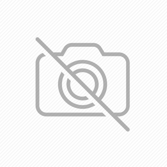 達摩一掌經 1 初階
